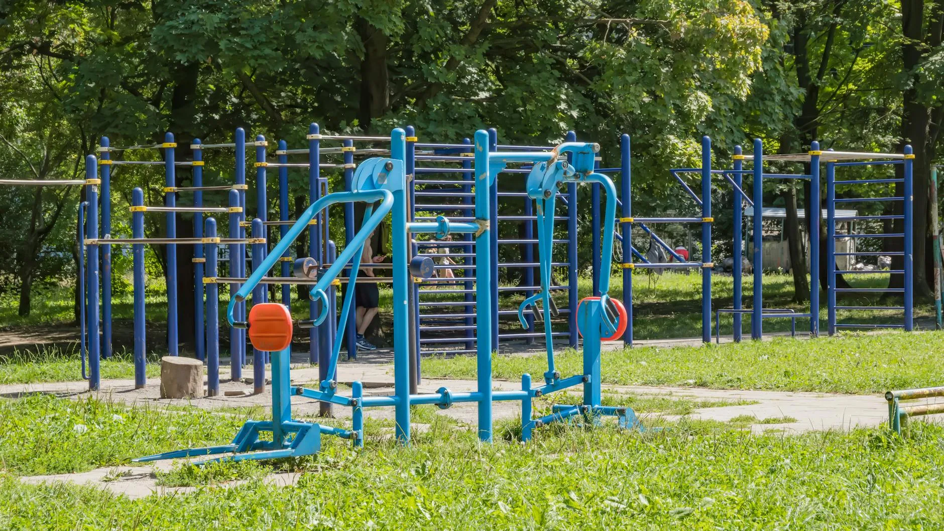 Programy edukacyjne a rozwój fizyczny uczniów – dlaczego ruch jest tak ważny?